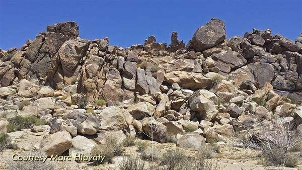 Desert View Conservation Area (4/28/2014 - Credits: Marc Hlavaty)