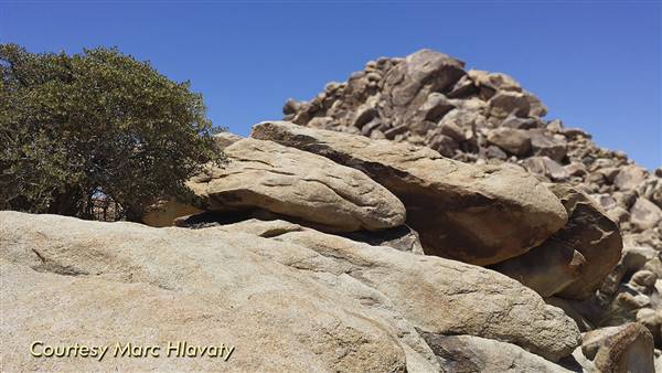 Desert View Conservation Area (4/28/2014 - Credits: Marc Hlavaty)
