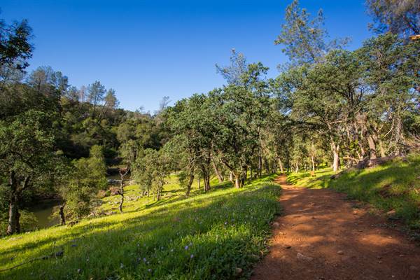 Hidden Falls Regional Park (4/20/2017)