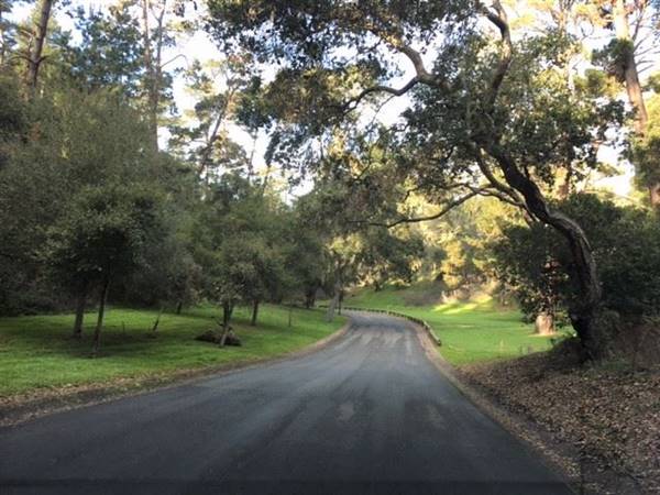 Litchfield Road (6/28/2017)