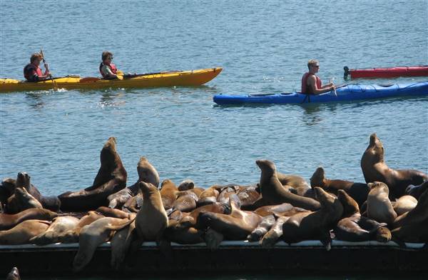 Moss Landing (6/28/2017)