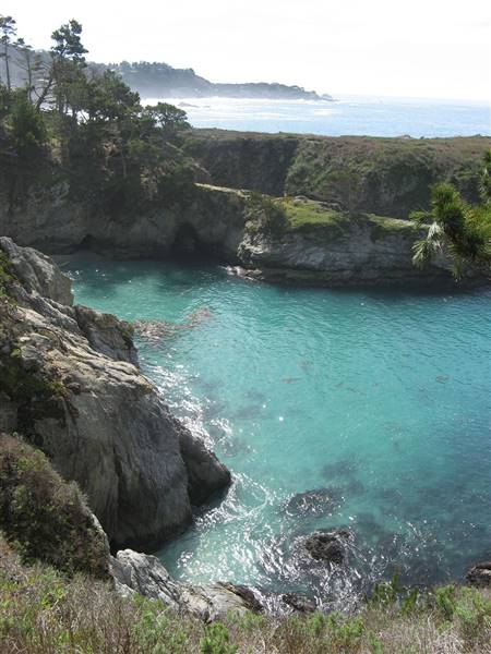 Point Lobos State Natural Reserve (SNR) (6/28/2017)