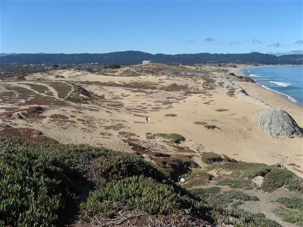 Sand City Beach / Eolian Dunes Preserve - Sand Dunes (6/28/2017)