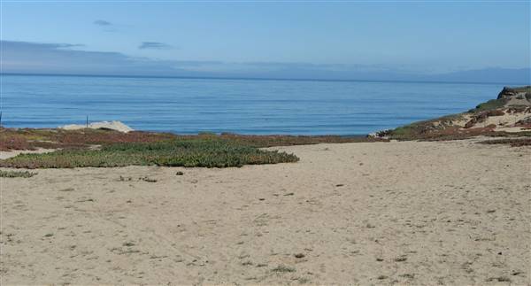 Sand City Beach / Eolian Dunes Preserve - Sand Dunes (6/28/2017)