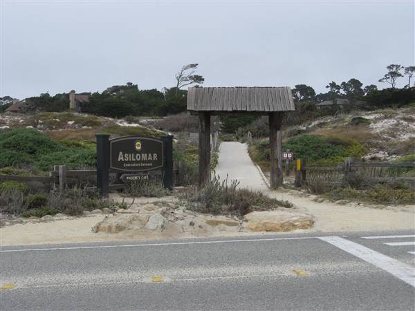Asilomar State Beach and Conference Grounds (6/28/2017)