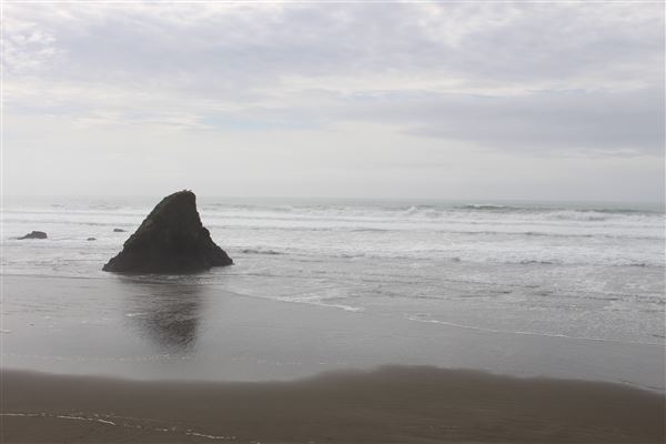 Seaside Beach - Seaside Creek (3/29/2017 - Credits: Kellen Lim)