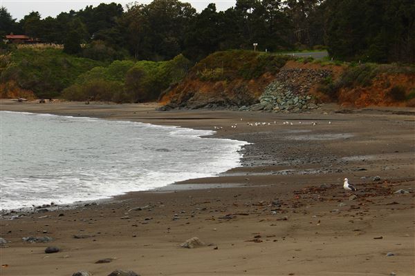 Van Damme State Park (SP) / Beach / Pygmy Forest / Fern Canyon Trail / Spring Ranch Trail - Beach (4/5/2017 - Credits: Kellen Lim)
