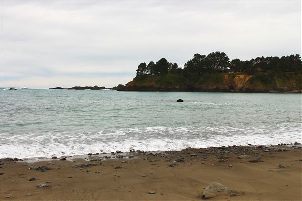 Van Damme State Park (SP) / Beach / Pygmy Forest / Fern Canyon Trail / Spring Ranch Trail - Beach (4/19/2017 - Credits: Kellen Lim)