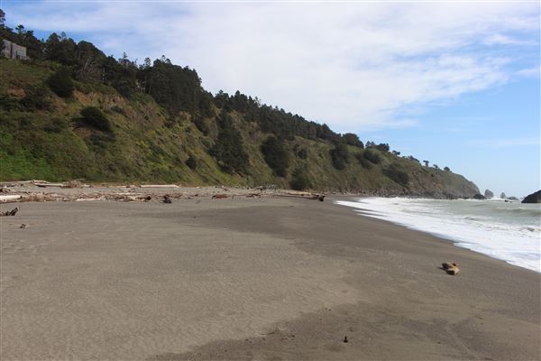 Navarro River Beach - Navarro River Redwoods State Park (SP) (3/31/2017 - Credits: Kellen Lim)