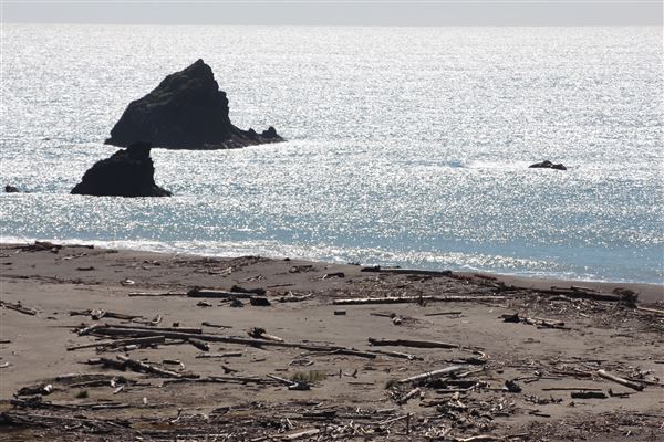 Navarro River Beach - Navarro River Redwoods State Park (SP) - Shape of the beach changes during each season. Stretch of beach lengthens and closes up Navarro River mouth during summer months. Amount of driftwood also varies annually. (3/2/2017 - Credits: Kellen Lim)
