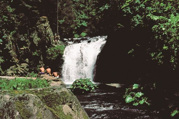 Shasta County Waterfalls (1/19/2018)
