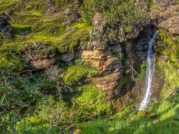 Shasta County Waterfalls (1/19/2018 - Credits: Michelle James)
