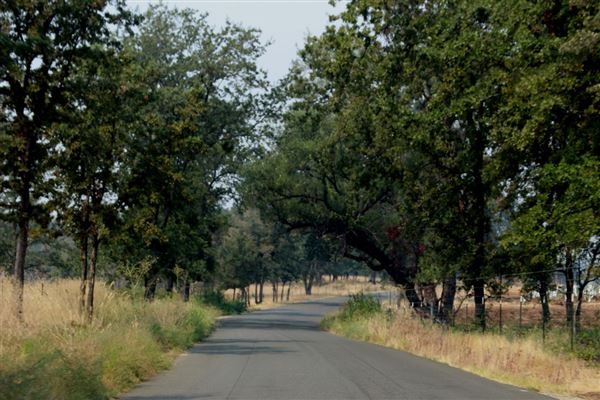 Shasta County Roads & Bridges (1/19/2018)
