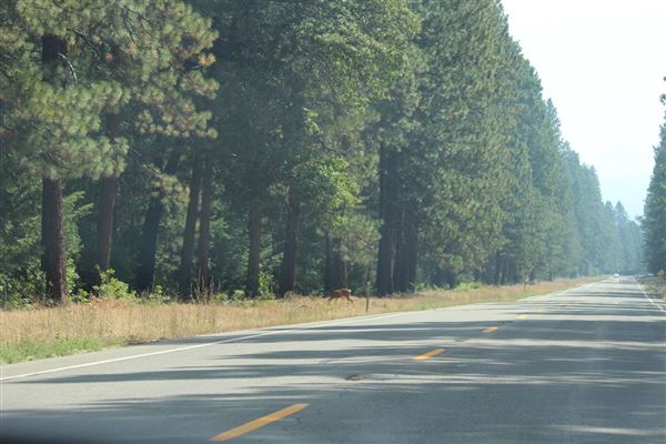 Shasta County Roads & Bridges (1/19/2018)