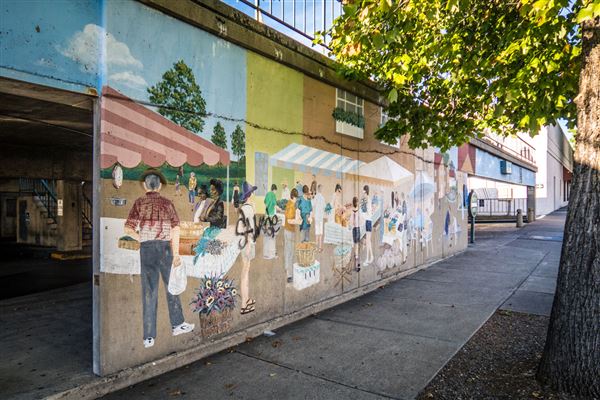 Shasta County Towns & Cities (1/19/2018)