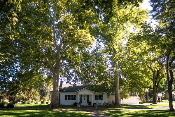 Shasta County Agricultural (1/19/2018)