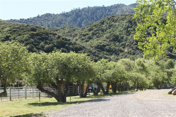 Rancho Grande (3/29/2018)
