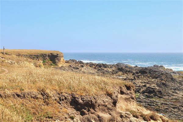 Van Damme State Park (SP) / Beach / Pygmy Forest / Fern Canyon Trail / Spring Ranch Trail - Spring Ranch Trail (7/9/2017 - Credits: Kellen Lim)