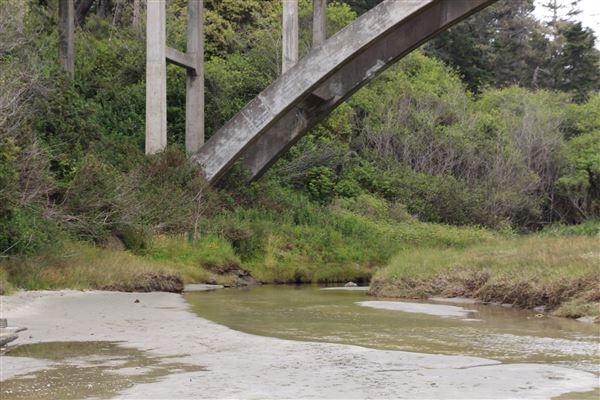 Jug Handle Creek Bridge - Highway 1 (7/8/2017 - Credits: Kellen Lim)