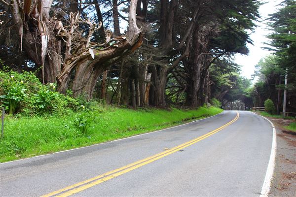 Highway 1 - North Coast corridor (3/29/2017 - Credits: Kellen Lim)