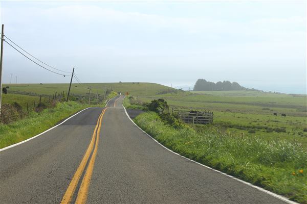Highway 1 - North Coast corridor (3/29/2017 - Credits: Kellen Lim)