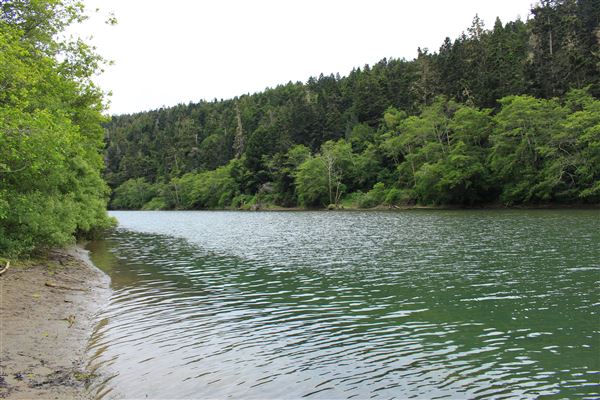 Navarro River - located in Hendy Woods State Park (SP) (5/15/2018 - Credits: Kellen Lim)