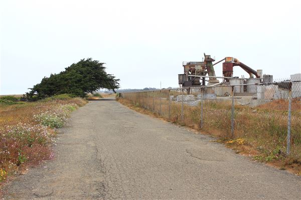 Haul Road Coastal Trail (MacKerricher State Park) (7/16/2018 - Credits: Kellen Lim)