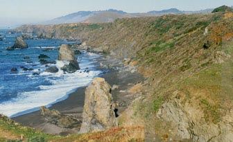 Furlong Gulch Beach (Sonoma Coast State Park) (7/25/2018)