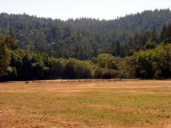 Casini Ranch Family Campground (7/25/2018)