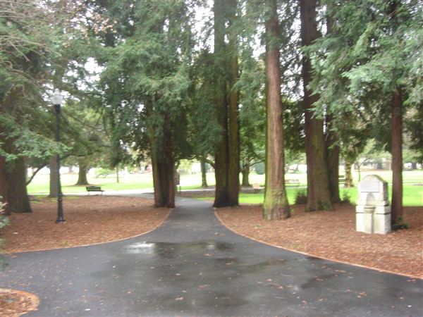 Church of One Tree (7/25/2018)