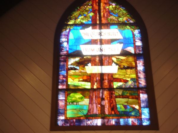 Church of One Tree (7/25/2018)