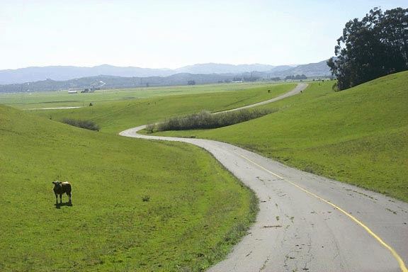 Cougar Mountain Drive (7/25/2018)