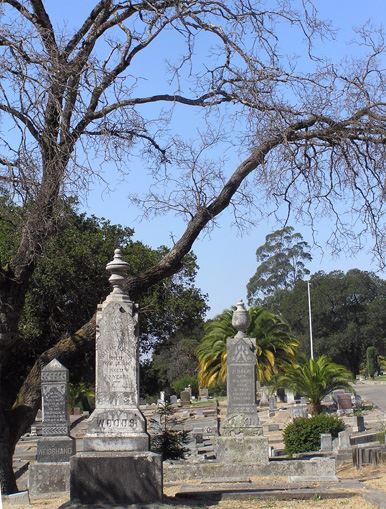 Cypress Hill Memorial Park (7/25/2018)