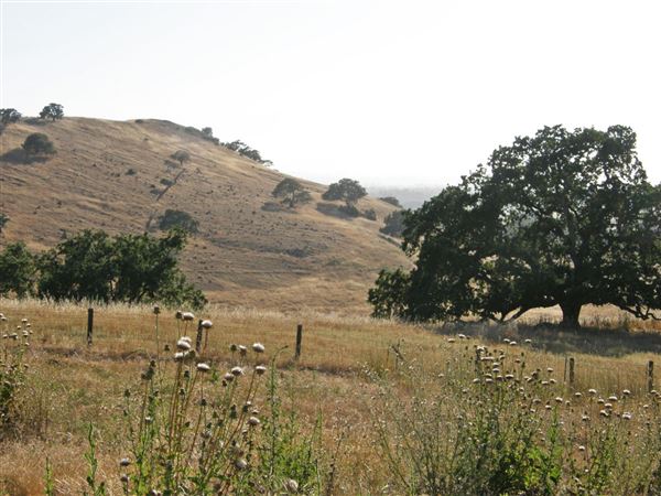 Crane Creek Regional Park (7/25/2018)