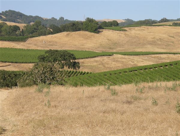Crane Creek Regional Park (7/25/2018)