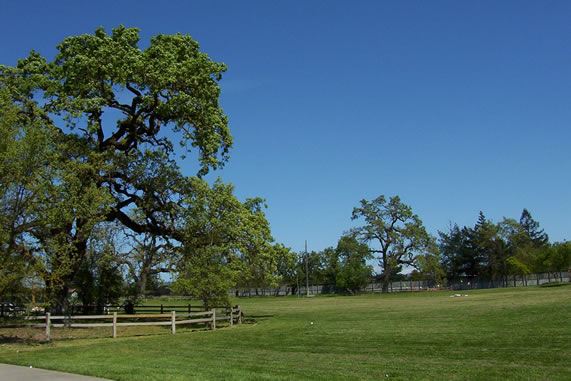 Finley Community Park (7/25/2018)