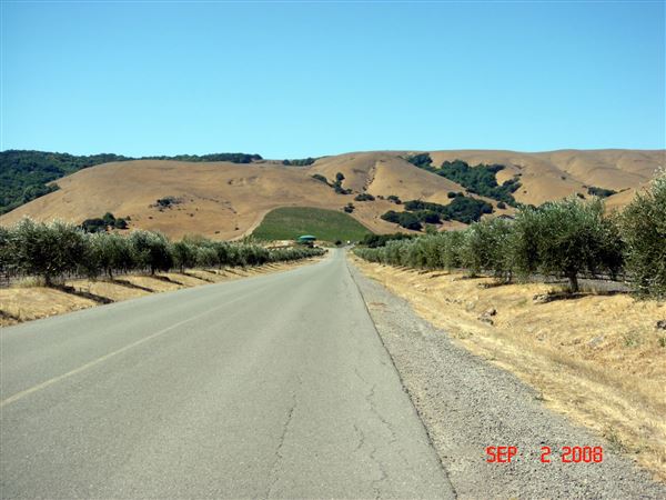 Gloria Ferrar Champagne Caves (7/25/2018)