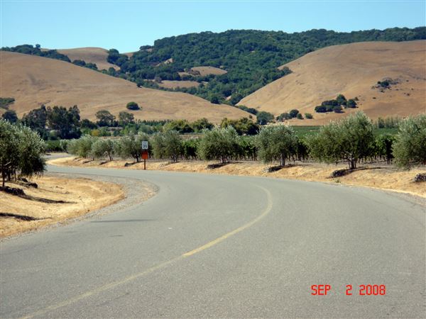 Gloria Ferrar Champagne Caves (7/25/2018)