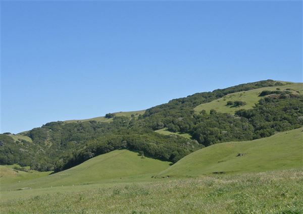 J G Angus Ranch (7/25/2018)