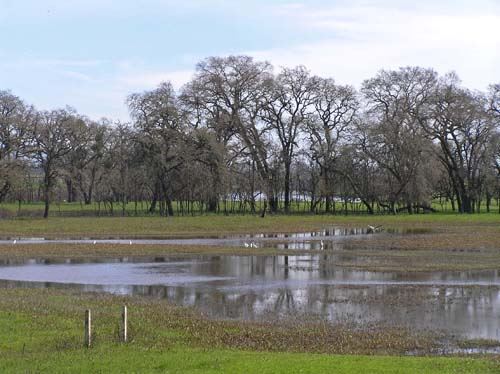Laguna de Santa Rosa Trail (7/25/2018)