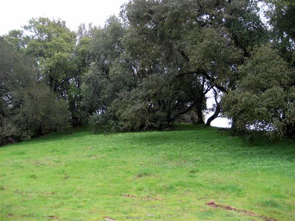 Tom Scott Ranch (7/25/2018)