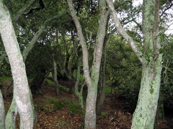 Tom Scott Ranch (7/25/2018)