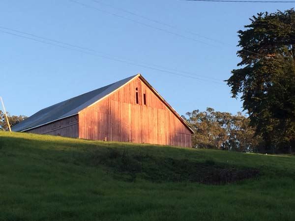 Spring Hill Estate (7/25/2018)