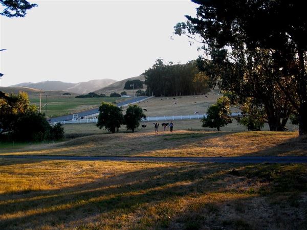 Swallowtail Studios (7/25/2018)