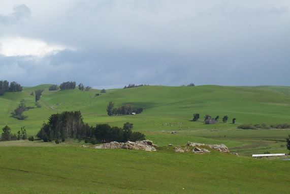 Tomales Rd (7/25/2018)