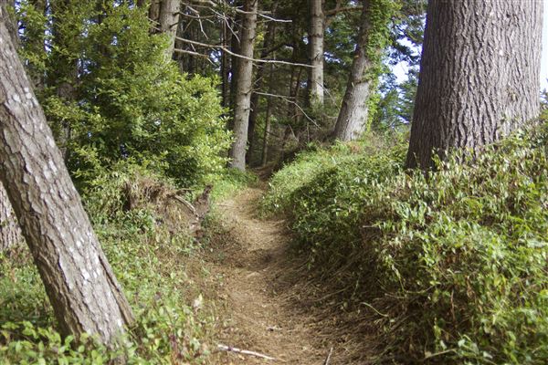 Little River Blowhole Trail - Little River - Blowhole Trail (8/6/2018 - Credits: Kellen Lim)