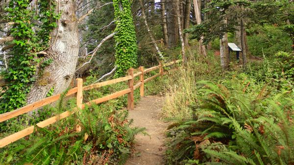 Little River Blowhole Trail - Little River - Blowhole Trail (8/6/2018 - Credits: Kellen Lim)