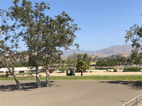 Hansen Dam Horse Park (8/9/2018 - Credits: Vernell Carranza)