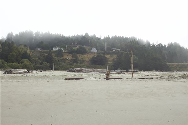 Big River Beach @ Menodocino Headlands State Park  (SP) (7/24/2018 - Credits: Kellen Lim)
