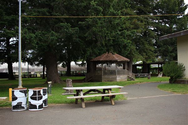 Mendocino County Fair and Apple Show - Grove area (5/31/2018 - Credits: Kellen Lim)